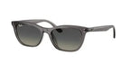 Ray-Ban RB4474D